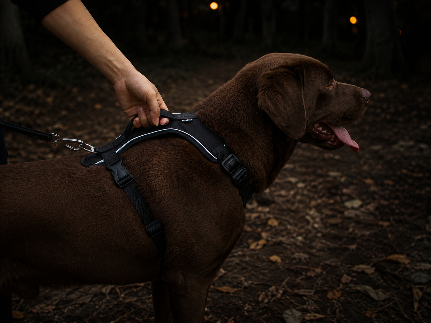 Vantare Reflective Comfort Harness