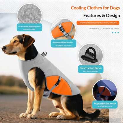 Summer Cooling Vest