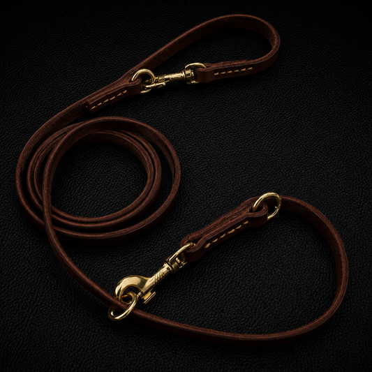 Vantare Double Copper Hook Multifunctional Dog Leash