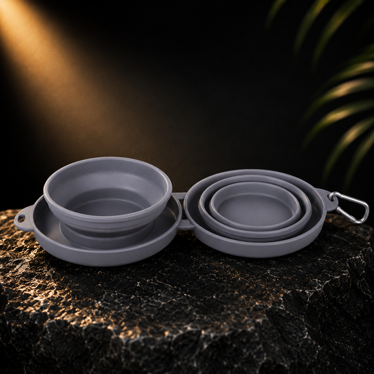 Vantare Double Foldable Travel Bowl