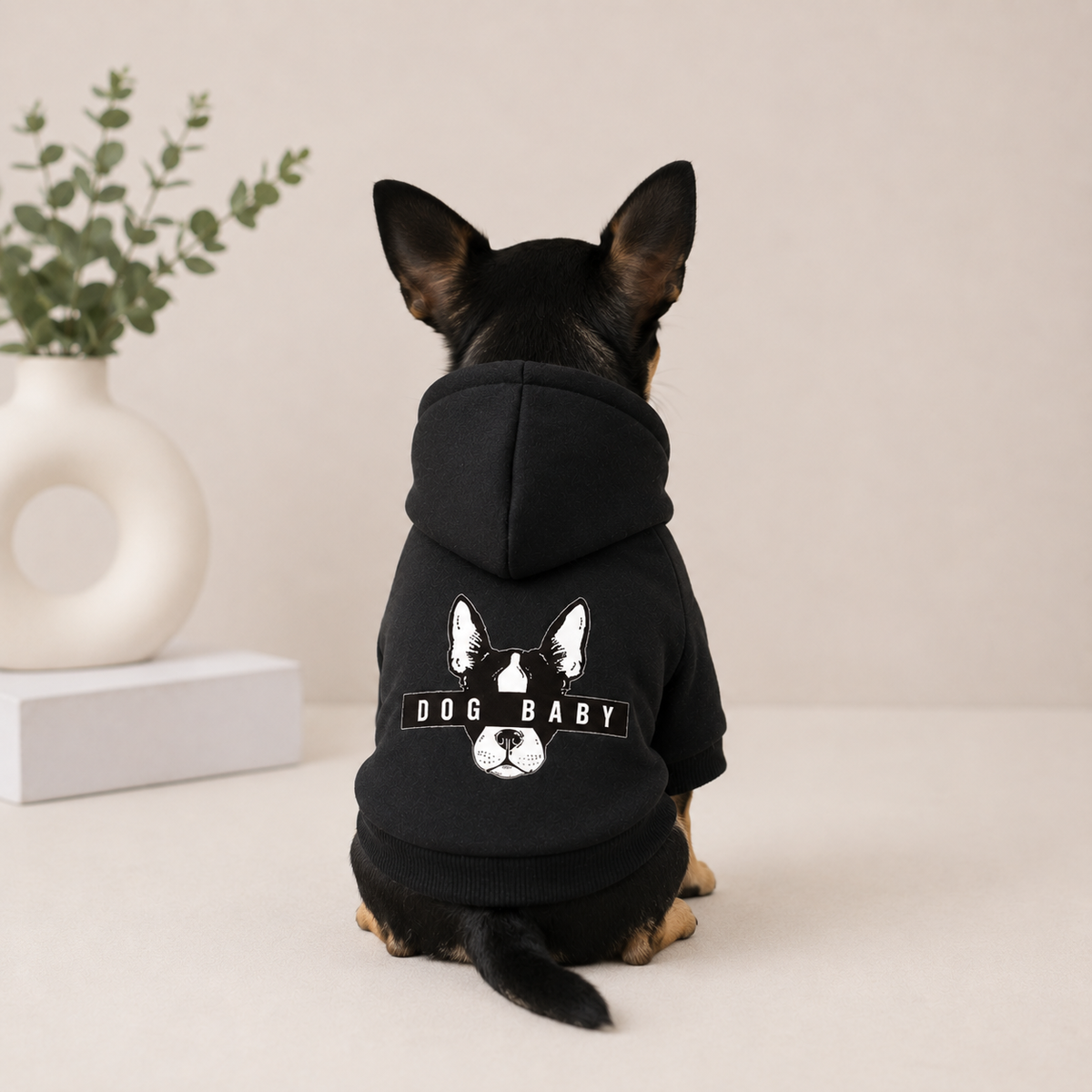 Padded Dog Hoodie
