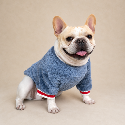 Pet sweater