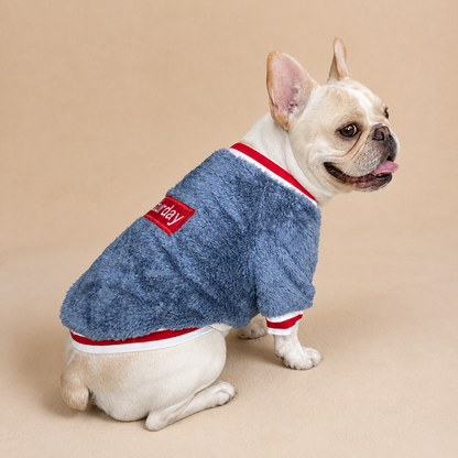 Pet sweater